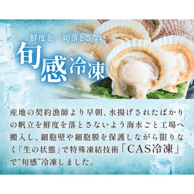 ふるさと納税 石巻市 【冷凍・生食用】 殻付き帆立 10枚 帆立 ホタテ ほたて 殻付き 生食 生食用 肉厚 |  | 02