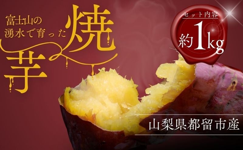 
                  富士山の湧水で育った焼きいも【アズールヤード】｜  サツマイモ さつまいも スイーツ 贈答用 プレゼント ギフト  
                