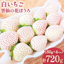 【ふるさと納税】【期間限定発送】 いちご 白いちご 雲仙の花ぼうろ 180g×4パック [トトノウ 長崎県 雲仙市 item1415] 苺 イチゴ 白いちご フルーツ 果物 くだもの 期間限定 季節限定