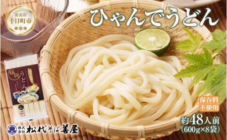 うどん ひゃんで 600g×8袋 約48人前 乾麺 うどん