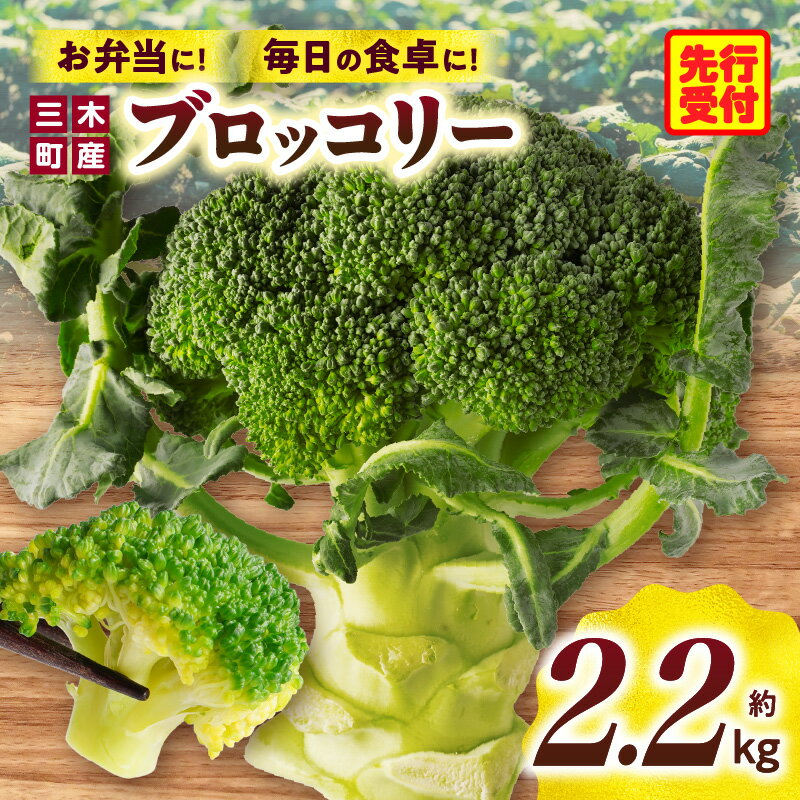 【ふるさと納税】951　三木町産ブロッコリー　約2.2kg ブロッコリー 野菜 食材 サラダ 料理 大きい 新鮮 生野菜 生鮮食品 栄養価が高い 冷蔵 おすすめ 香川県 三木町 送料無料