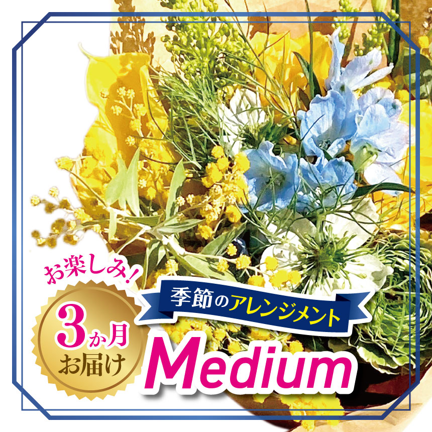 【ふるさと納税】3か月 お届け お楽しみ！ 季節 の アレンジメント 「Medium」 | アレンジ タイプ 高さ約26cm 横幅約23cm お花 flower フラワー 花 リトルシード インテリア 植物 定期便 お任せ お見舞い ギフト お祝い 誕生日 親孝行 プレゼント贈り物 新鮮 調布 東京都