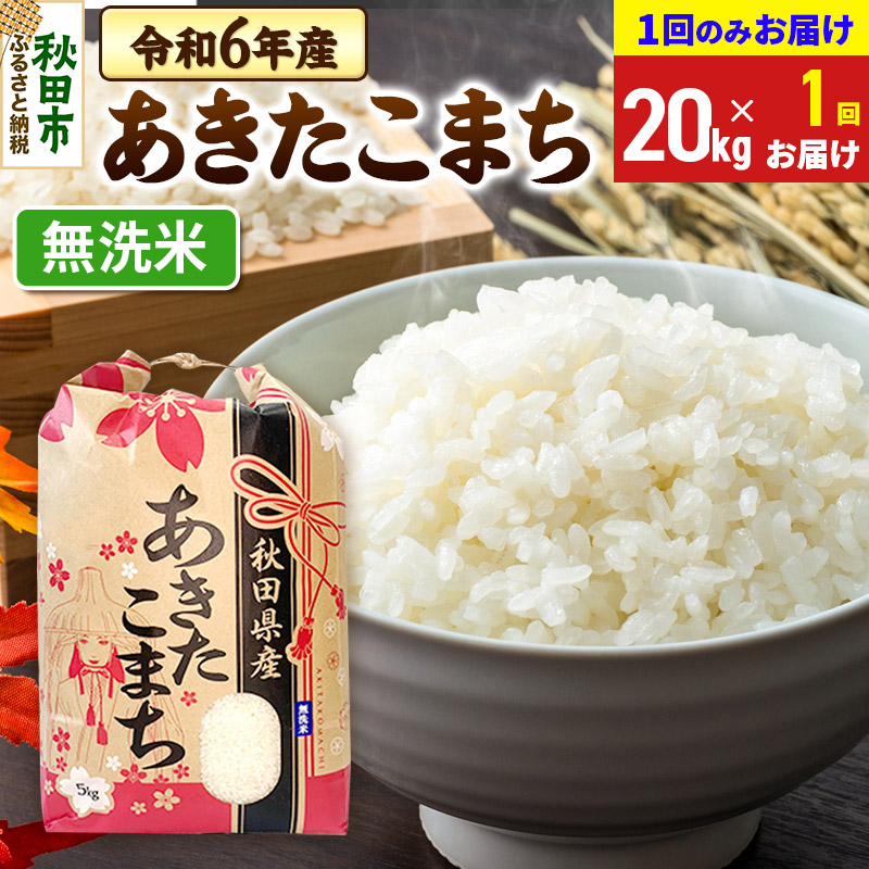 あきたこまち 20kg(5kg×4袋) 【1回のみお届け】 令和6年産 【無洗米】秋田県産