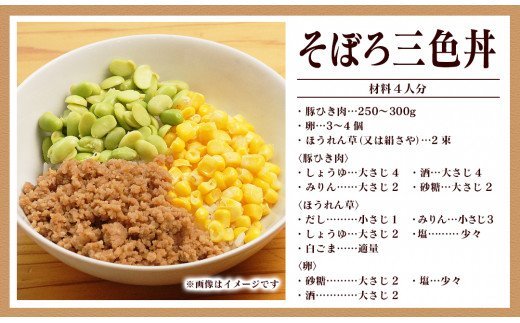 延岡よっとん Cセット N003-YB542