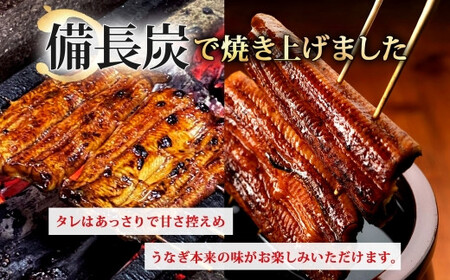 骨抜き鰻蒲焼2尾（真空パック）