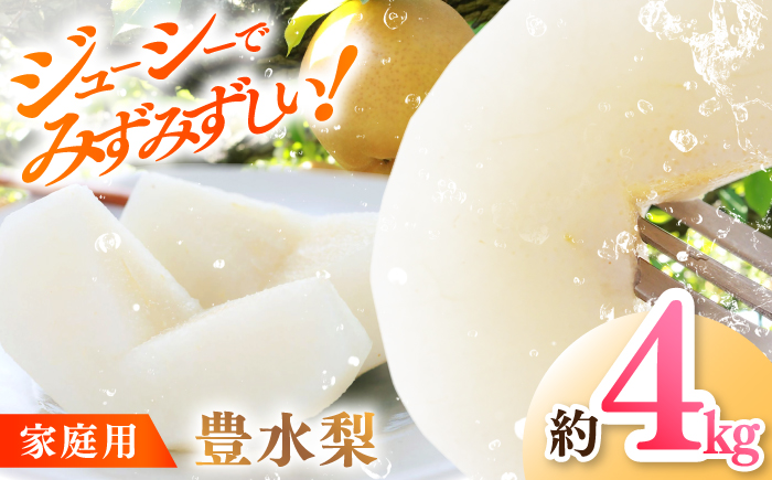 【先行予約】 川渕果樹園 豊水梨 約4kg 家庭用 〈2025年10月〜発送〉 / 梨 なし ナシ 豊水 果物 フルーツ デザート 夏 秋 ヘルシー 健康 水分補給 【株式会社Dorago】 [ATAM057]