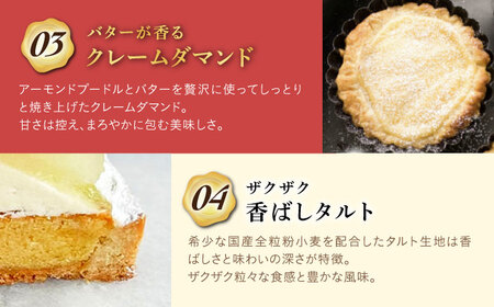【全12回定期便】アップルキャラメルチーズタルト(14cm)【心優　－Cotoyu Sweets－】[KAA553]