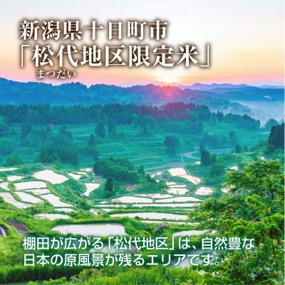ふるさと納税 十日町市 棚田米 魚沼産 コシヒカリ 5kg 新潟県 十日町市 松代地区限定米 |  | 01