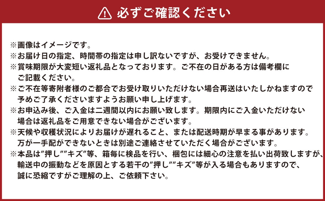 晴れの国岡山のシャインマスカット晴王各回1房約600g以上化粧箱入り