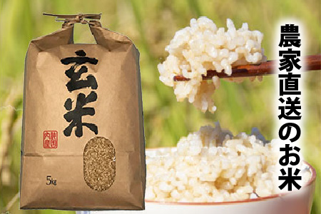 【令和7年産】【農家直送定期便 2ヶ月コース】本原農園のまごころコメたコシヒカリ 5kg × 2回 計10kg（玄米） [B-8916]