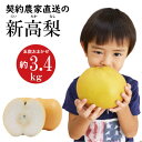 【ふるさと納税】【2025年9月〜発送】【シャリッとおいしい！】新高梨 約3.4kg / 梨 なし くだもの 果物 フルーツ 常温 ギフト プレゼント 贈り物 / 南島原市 / ふるさと企画 [SBA030]