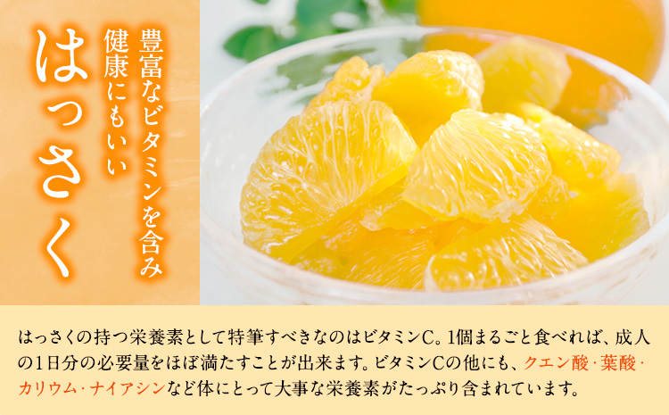 手剥き八朔缶詰(ミックス) 450g×8本入 JA紀の里農業協同組合 《90日以内に出荷予定(土日祝除く)》 和歌山県 紀の川市