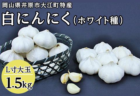 C-15白にんにく(L寸大玉)1.5kg