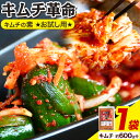 【ふるさと納税】キムチ革命 キムチパウダー お試しパック 1袋入り60g 樽の味《30日以内に出荷予定(土日祝除く)》 和歌山県 日高川町 キムチ 素 キムチの素 お試し 漬物 唐辛子 簡単 手作り 無添加