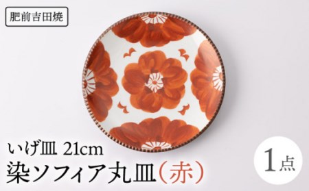 いげ皿 染ソフィア(赤) 21cm 1点 NAZ501 やきもの 食器