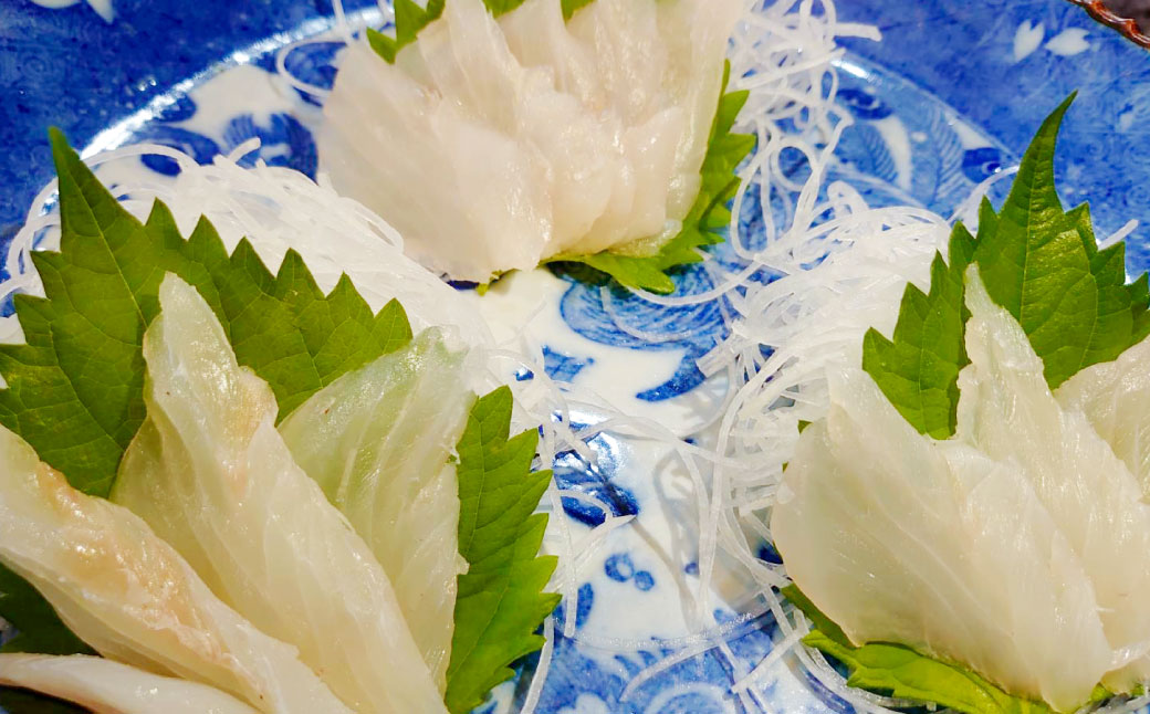 丸ごと1匹お届け！長崎近海 天然アラ (クエ) 2kg台 (2.2～2.8kg、4～5人前) ／  魚 鮮魚 魚介 海鮮 高級魚 くえ あら 血抜き 鍋 刺身 大将農園 長崎県 長崎市 【2025年9