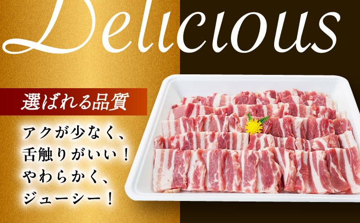 肉 豚 ぶた ブタ ロース 焼肉 焼き肉 小分け 西海市 長崎 九州 定期便