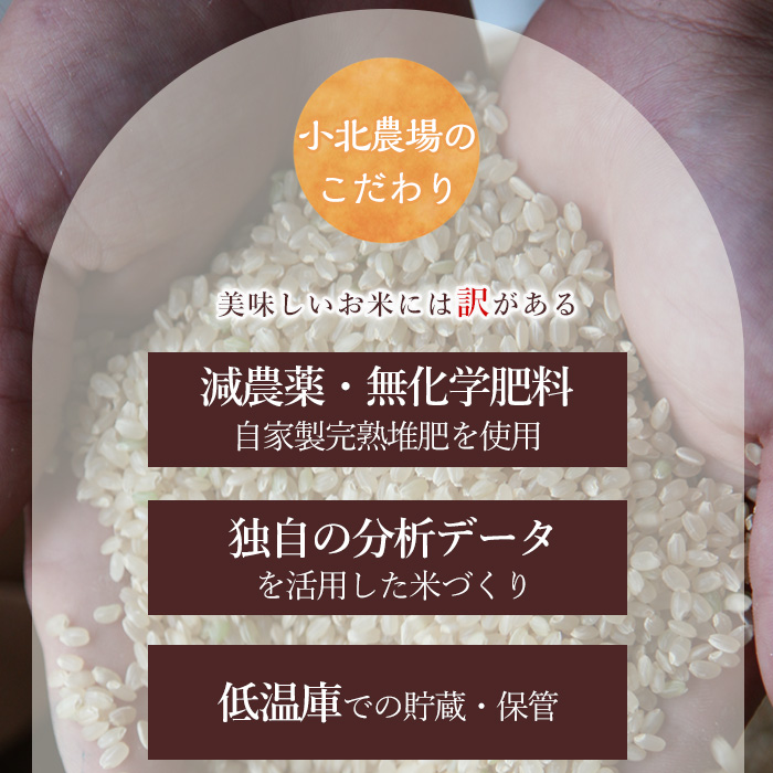 isa600 ＜先行予約受付中！2025年10月より順次発送＞《数量限定》令和7年産 小北農場の新米 伊佐黄金米〈ヒノヒカリ〉(10kg) 鹿児島 伊佐 新米 お米 特別栽培米 伊佐米 白米 ヒノヒカ