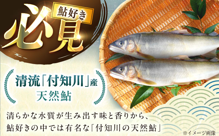 ＜冷凍＞天然あゆ 19～22cm 5匹入り（約500g） / あゆ 天然 鮎 冷凍 / 恵那市 / 恵那物産館 [AUFS009]