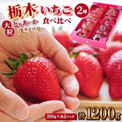 【ふるさと納税】豪華!栃木イチゴ2種(スカイベリー・とちあいか)大粒 食べ比べセット (300g×4パック)_ いちご 苺 フルーツ 果物 くだもの スカイベリー とちあいか 栃木 2種 セット 人気 おすすめ 送料無料 ギフト 贈答 食べ比べ 【配送不可地域：離島・沖縄県】【1366949】