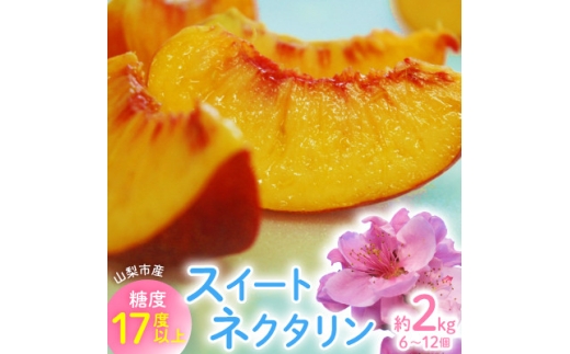 ＜2026年先行・8月上旬発送＞　スイートネクタリン　約2kg(6～12個)【1730942】