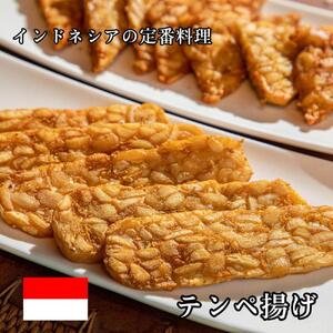 ルストテンペ(滋賀県産特別栽培大豆使用)10個セット テンペ