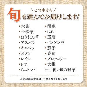福岡県久留米市産 新鮮野菜セット_福岡県 久留米市産 新鮮野菜 セット 10品目 約10kg 旬の野菜 詰め合わせ 新鮮 季節 野菜 水菜 小松菜 ほうれん草 アスパラ キャベツ オクラ レイシ トマ