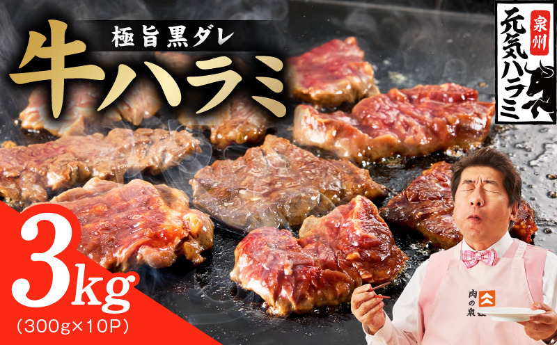 G4693 【新登場】極旨黒ダレ 牛ハラミ肉 3kg（300g×10P）【牛肉 はらみ 小分け 焼肉 お弁当 BBQ 訳あり ワケアリ わけあり サイズ不揃い 規格外 TVで話題】