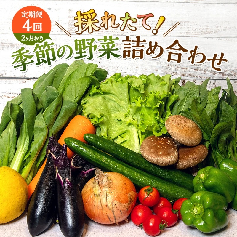 とれたて 野菜 パック 定期便 4回 2ヶ月おき 季節の野菜 セ