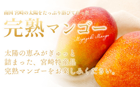 ＜宮崎県産 完熟マンゴー 2L 合計2玉＞入金確認後、2025年7月初旬迄に順次出荷【選べる 大きさ サイズ 国産 かんじゅく とろける 果物 果実 フルーツ 南国 芳醇 甘い 旬 濃厚 贈り物 プレ