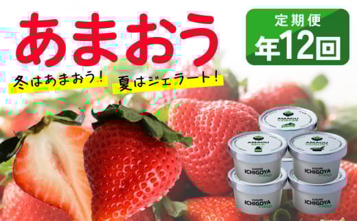 【あまおう年間定期便(年12回)】福岡県産 冬はあまおう！夏はジェラート(アイス)！年中あまおうの美味しさをお届けします！！_いちご 定期便 年12回 あまおう 280g × 4パック  完熟あまおう ジェラート 85ml × 6個 各 6回 高級ブランドいちご フルーツサンド アイス レアチーズ ミルク ヨーグルト 3種類 冷凍 フルーツ お取り寄せ 福岡県 久留米市 送料無料_Dw017