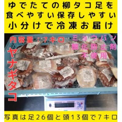 ふるさと納税 白老町 浜ゆでたこ 計7000g 北海道白老町産