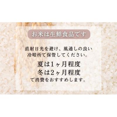 ふるさと納税 羽後町 無洗米 あきたこまち 10kg (5kg×2袋) 令和6年産 [No.5325-0260] |  | 03