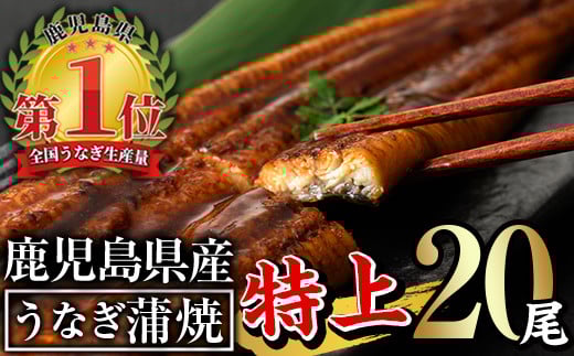 無投薬！鹿児島県産うなぎ蒲焼セット＜特上＞(計3.2kg以上・ 160g以上×20尾) タレ・山椒付き 鰻 ウナギ 国産【西日本養鰻】E13-v01