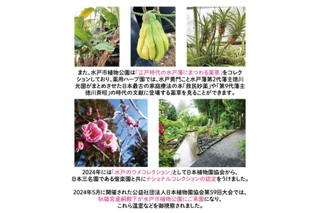 【数量限定】水戸市植物公園ガイドツアー＆薬膳料理体験（ペアチケット）（KD-1）