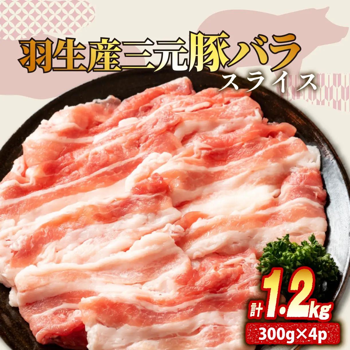 豚バラ スライス 1.2kg 小分け 国産 豚バラ