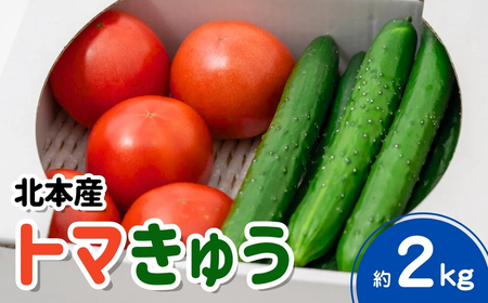 トマト きゅうりセット 合計約2kg | ﾄﾏﾄ きゅうり ﾄﾏﾄ きゅうり ﾄﾏﾄ きゅうり ﾄﾏﾄ きゅうり ﾄﾏﾄ きゅうり 桜国屋 埼玉県 北本市