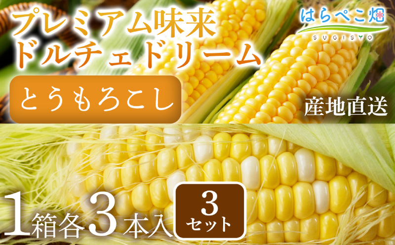 【人気の2品種を食べ比べ】とうもろこし2種各3本×3セット・H112