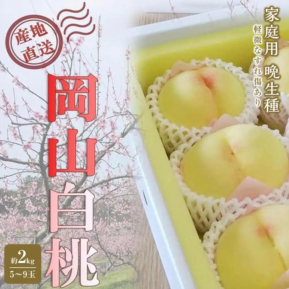 2027年 先行予約 ご家庭用 岡山 の 桃 固め 晩生種 約2kg（5～9玉）（黄金桃の場合もあります）|　桃