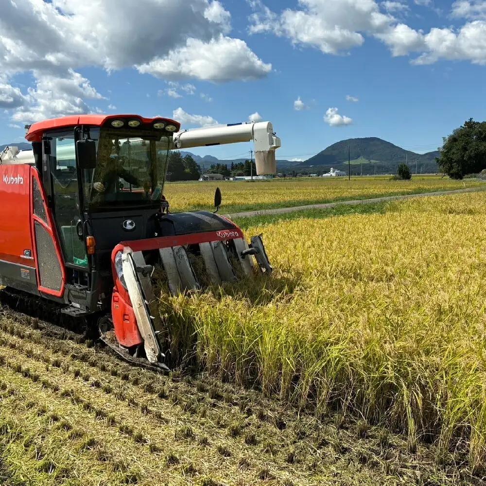 ひとめぼれ 無洗米5kg×12回定期便 ひとめぼれ