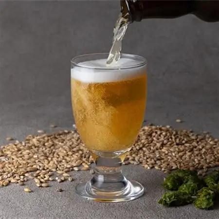安城産大麦使用クラフトビール2種4本詰め合わせセット【配送不可地域：離島】【1669336】