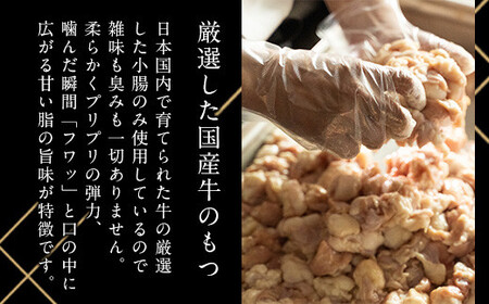 【博多もつ鍋やま中】もつ鍋みそ味（3～4人前）