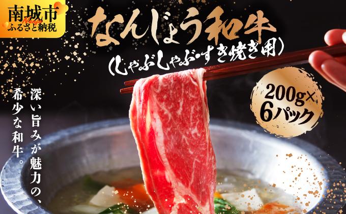 《極上の味わい》和牛しゃぶしゃぶ用 200g×6パック 合計1200g なんじょう和牛|黒毛和牛 しゃぶしゃぶ 牛肉 沖縄県 南城市 送料無料【TM0103】