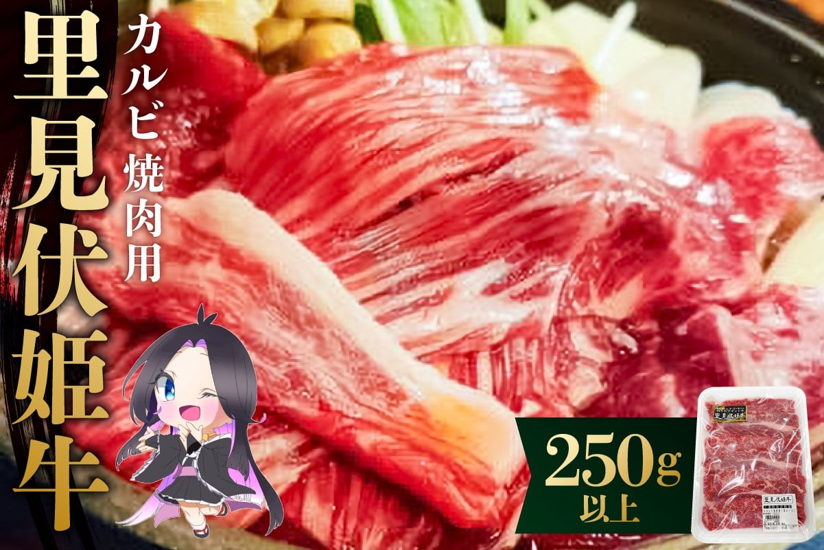 
            里見伏姫牛　カルビ焼肉用250g以上 mi0119-0001 【肉 食品 焼肉 BBQ バーベキュー 家族 ファミリー お取り寄せ グルメ】
          