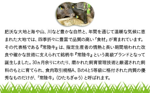 ハンバーグ 150g×10個  1.5kg 茨城県産 黒毛和牛 常陸牛 100%使用 【トキワフーズ】019