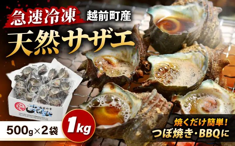 【先行予約】越前町産 天然 サザエ 1kg （500g×2袋）【2026年6月中旬より順次発送】【サザエ 海鮮】 [e15-a065]