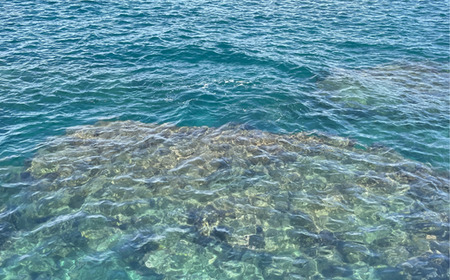 田野屋紫蘭の完全天日塩 清流安田川が育む土佐の海と太陽で育てた2種類セット 田野屋紫蘭 塩 完全 天日塩 セット 2種 100g 2袋 しお 荒塩 あら塩 天然 料理 調味料 食塩 詰め替え ミネラル