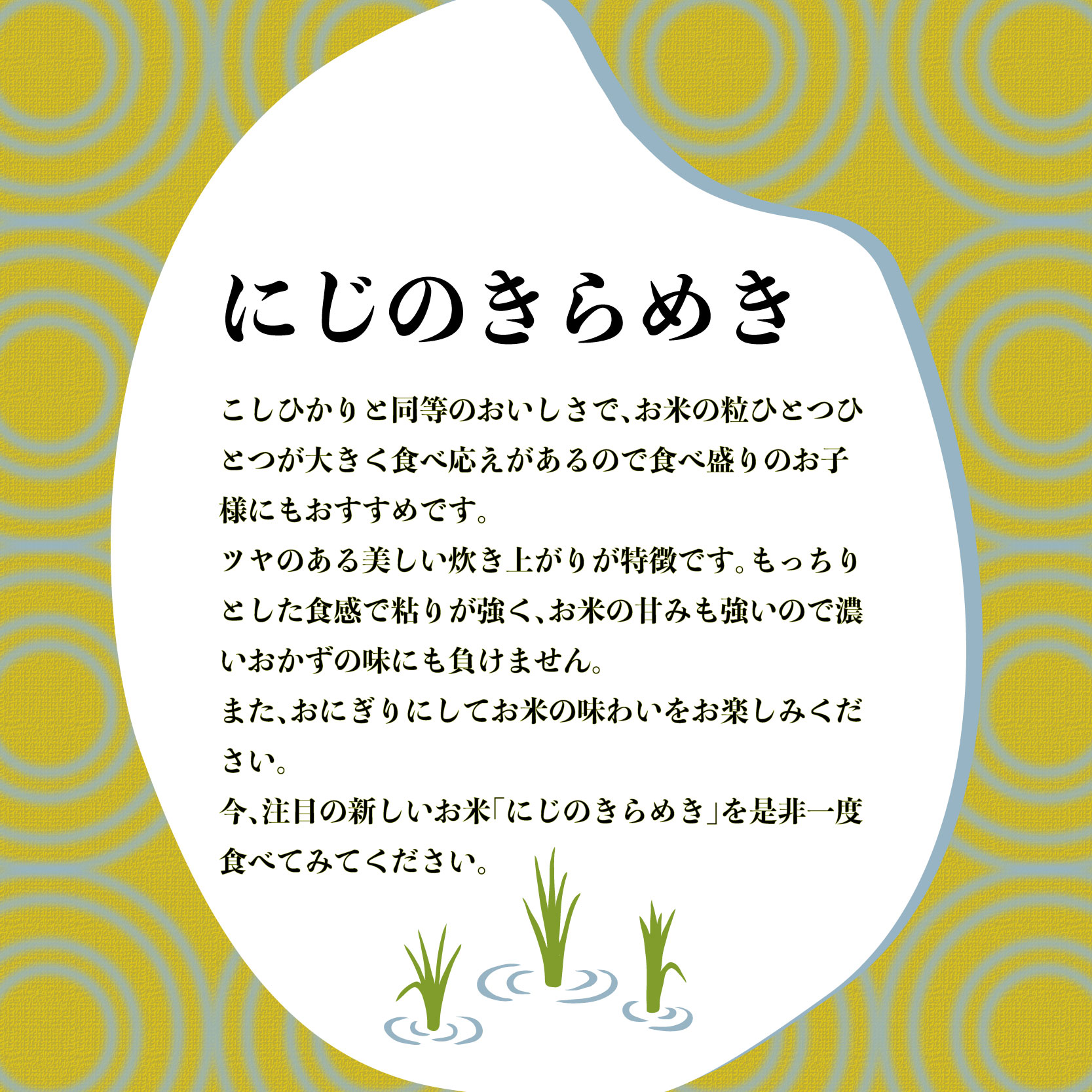 新米 米 にじのきらめき 2kg 栽培期間中 化学 農薬 化学 肥料 不使用 精米 令和7年度産 お米 新生活 贈り物 人気米 ご飯 白米 コメ 贈答 静岡県 藤枝市