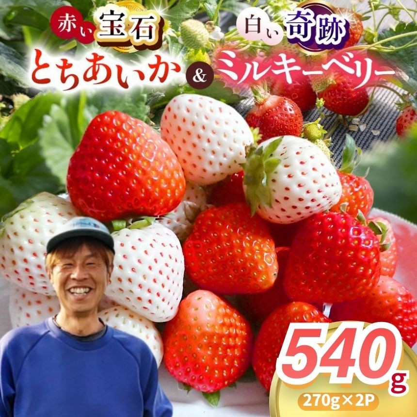 
                  【2027年先行予約】真岡市産 赤い宝石「とちあいか」・白い奇跡「ミルキーベリー」セット 540g
                