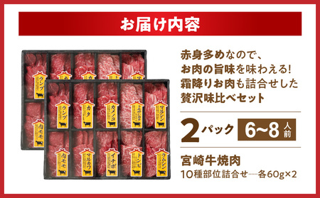 宮崎牛食べ比べ10種盛り焼肉セット(各600g×2P)_34-3103_(都城市) 都城産 宮崎牛 A4ランク 焼肉 セット 内モモ カタ トンビ ランプ ラムシン マルシン カメノコ イチボ マルカ